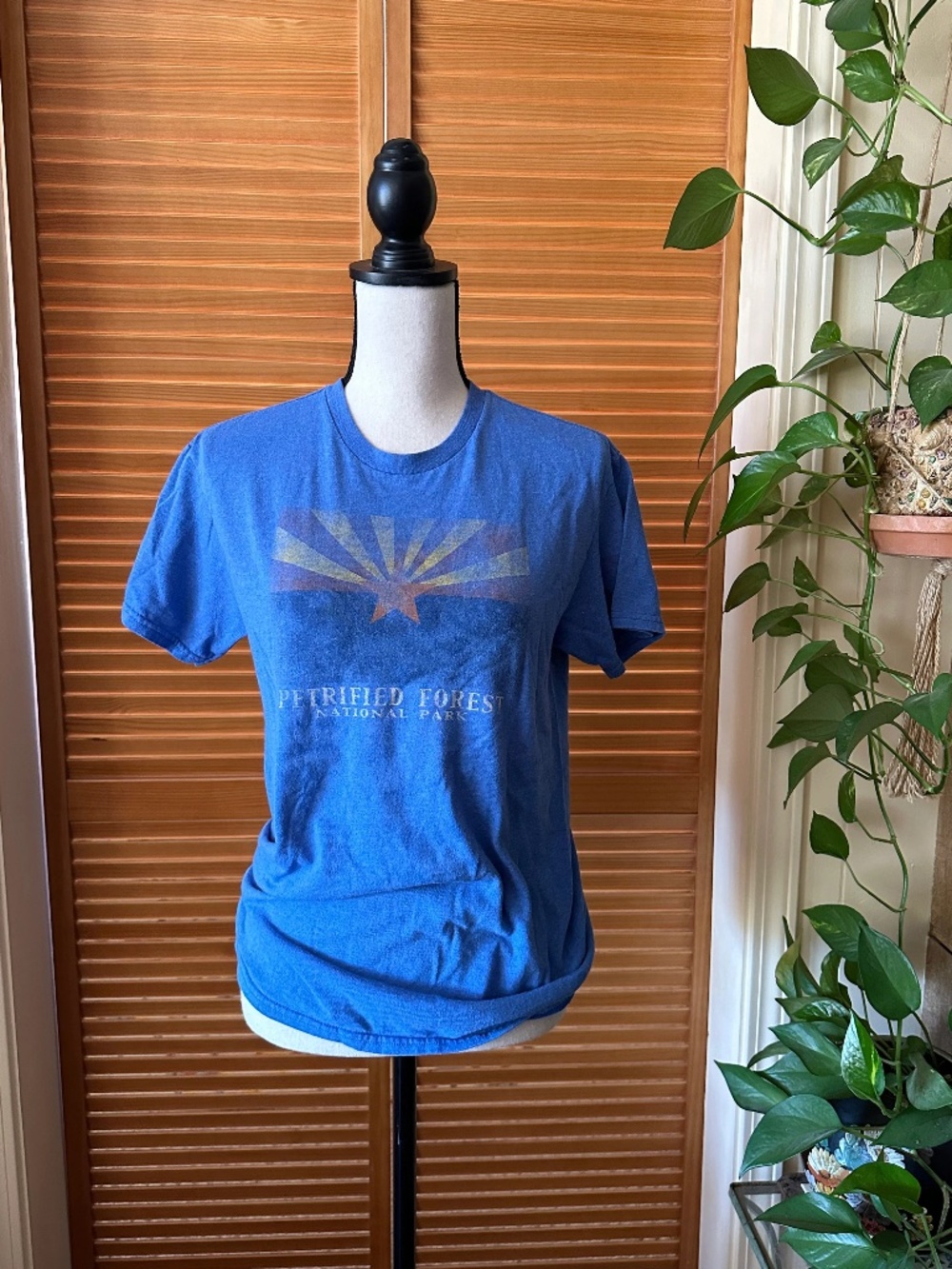 ViNTAGE T ShIRT PETRIFIED FOREST Arizona SOUVENiR Tee National Park